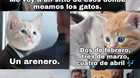 Humor-gatuno-c_s