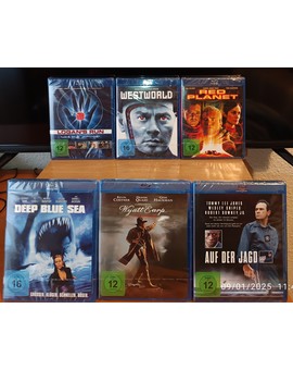 Recién llegadas 