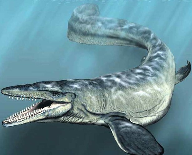 JURASSIC WORLD: Imagenes del área del MOSASAURIO. (área marina)