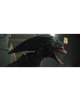 En ‘Alien: Covenant’ veremos toda clase de Xenoformos