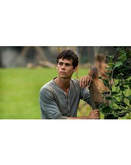 La 3ª parte de `El Corredor del laberinto´ llegará un año después de lo previsto a los cines (2018).