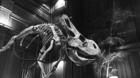 Imagen-del-set-de-jurassic-world-2-2018-c_s