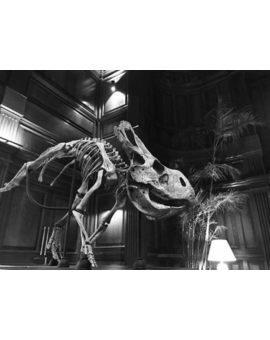 Imagen del set de "Jurassic World 2" (2018).