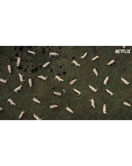 TRAILER de "DARK" (Por series como esta,Netflix es NECESARÍA).