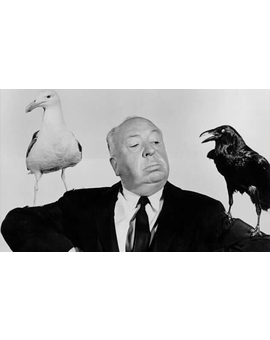 BBC prepara el remake de ‘Los pájaros’.