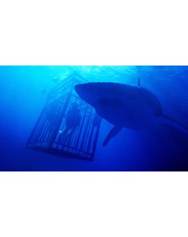 ’48 Meters Down’ (secuela de `A 47 metros´) llegará el 28 de Junio de 2019.