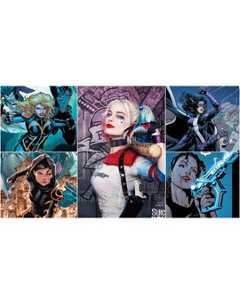 Harley Quinn, Cazadora, Canario Negro, Renee Montoya y Cassandra Cain serán los personajes de BIRDS OF PREY (Aves de presa).