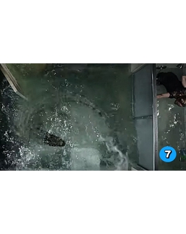 CRÍTICA SIN SPOILERS - `INFIERNO BAJO EL AGUA´ (2019): "Alta tensión".