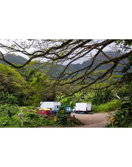 Set JURASSIC WORLD