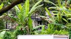 Set-jurassic-world-c_s
