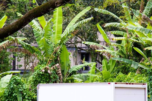 Set JURASSIC WORLD