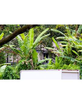 Set JURASSIC WORLD