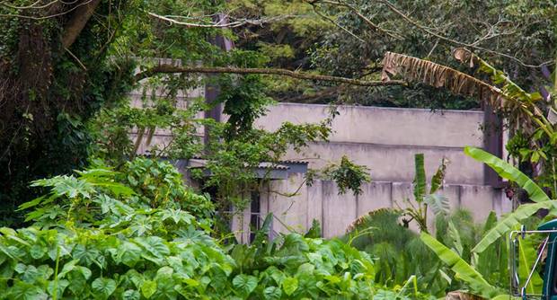 Set JURASSIC WORLD