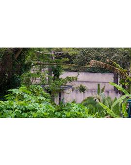 Set JURASSIC WORLD