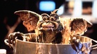 29-anos-de-gremlins-2-c_s