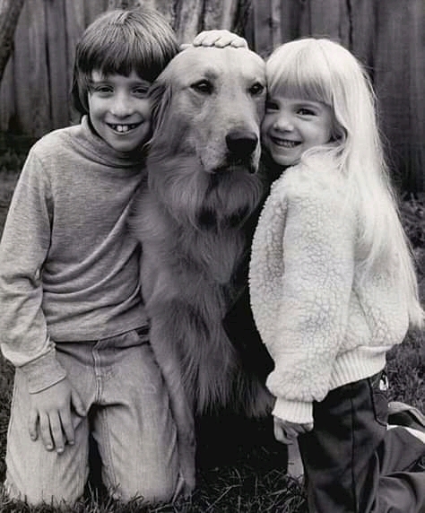 Heather O' Rourke (Poltergeist)