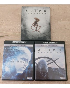 Recién llegadas
