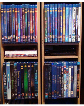 Colección Semonster: Sección 12