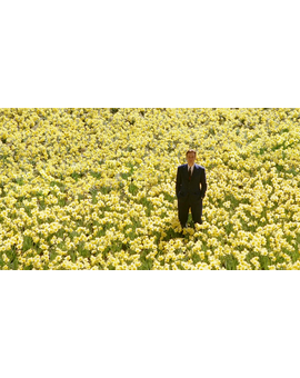 - Los planos mas bellos del cine -