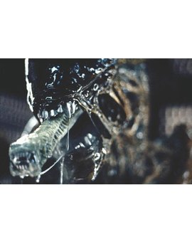 Vuestra peli favorita sobre extraterrestres? - Opinad -