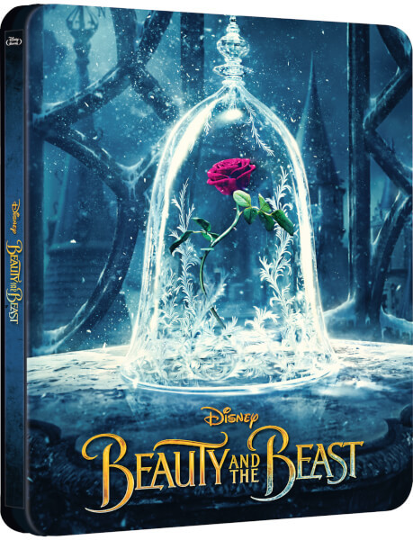 B&B - Disponible de nuevo en zavvi.es