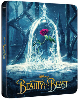 B&B - Disponible de nuevo en zavvi.es