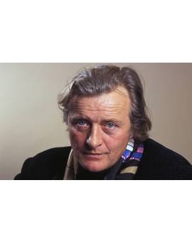 Muere Rutger Hauer, el célebre replicante de ‘Blade Runner’...