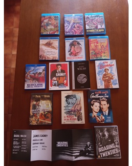 Cine puro: Raoul Walsh 