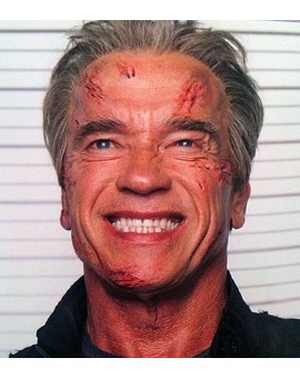 Terminator Genesis supera los 400 millones!!