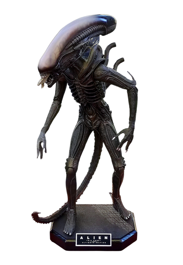Figura Alien - Big Chap (Neca) - [Stand elaborado por mi]