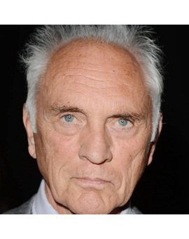 Ha fallecido Terence Stamp 