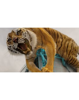 VFX en crisis, actitud deporable en los Oscar®, ¿qué opinais?