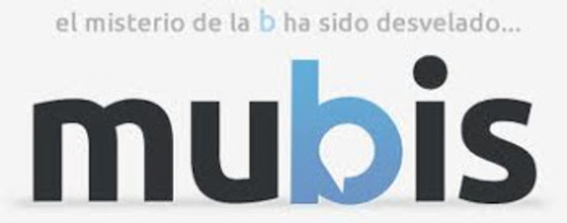 Errores en la web de Mubis