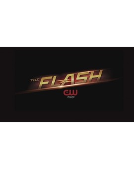 El Piloto de Flash se filtra en Internet