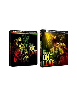 Bob Marley: One Love en 4K