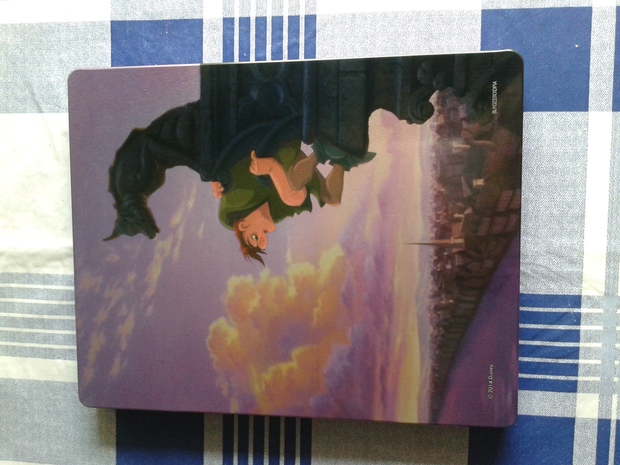 steel "El jorobado de Notre Dame" 2