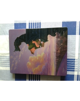 steel "El jorobado de Notre Dame" 2