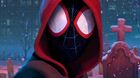 Noticion-a-coppola-le-gusta-spider-man-into-the-spider-verse-c_s