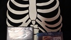Ultimas-adquisiciones-el-setanta-nou-y-lefties-c_s