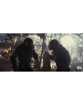Nuevo trailer de El reino del planeta de los simios