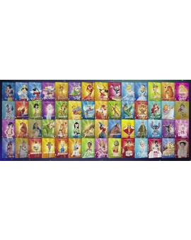 Fundas Disney