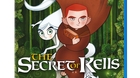 The-secret-of-kells-c_s