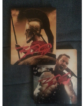 300 Steel