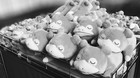 Nuestro-backlog-c_s