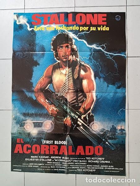 ACORRALADO POSTER