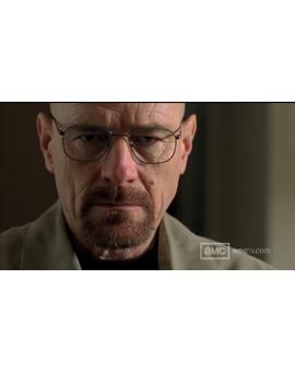 JAMAS UN PERSONAJE HABIA EVOLUCIONADO TANTO COMO EL MR. WHITE DE BREAKING BAD , QUE OPINAIS ?