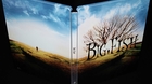 Big-fish-steelbook-c_s