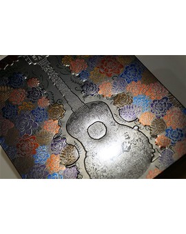 Fotografías Steelbook Coco