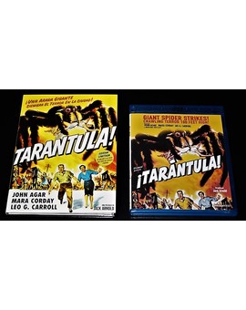 Tarántula!