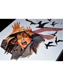 Los Pájaros - Steelbook uhd-bd